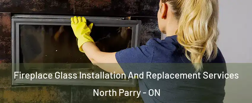 Fireplace Glass Installation And Replacement Services North Parry - ON
