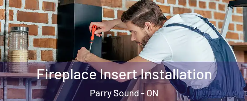 Fireplace Insert Installation Parry Sound - ON