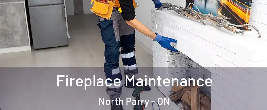 Fireplace Maintenance North Parry - ON