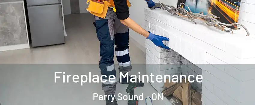  Fireplace Maintenance Parry Sound - ON