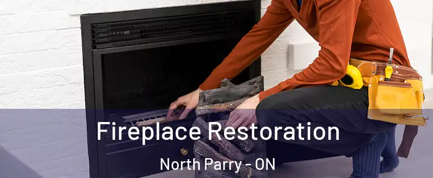  Fireplace Restoration North Parry - ON