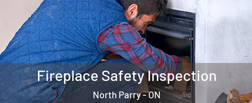 Fireplace Safety Inspection North Parry - ON