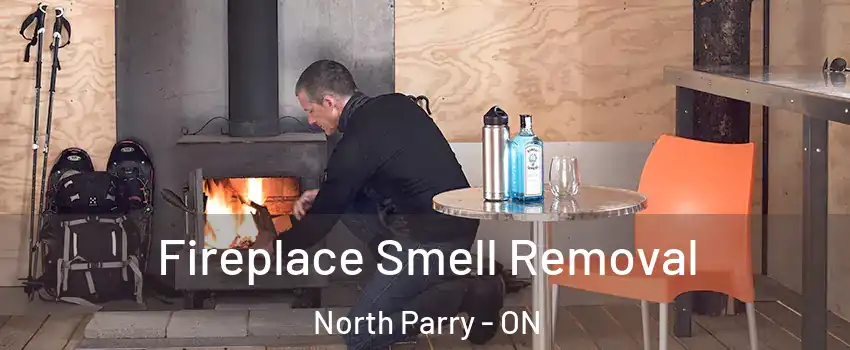 Fireplace Smell Removal North Parry - ON