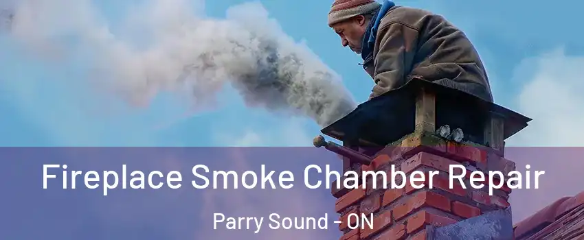  Fireplace Smoke Chamber Repair Parry Sound - ON