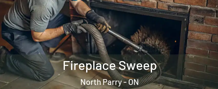 Fireplace Sweep North Parry - ON