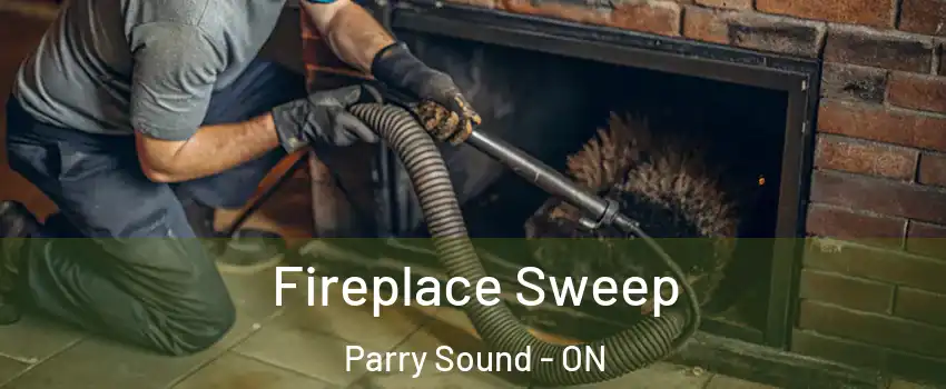  Fireplace Sweep Parry Sound - ON