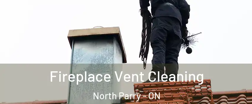 Fireplace Vent Cleaning North Parry - ON