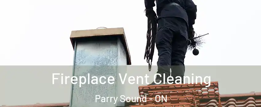  Fireplace Vent Cleaning Parry Sound - ON