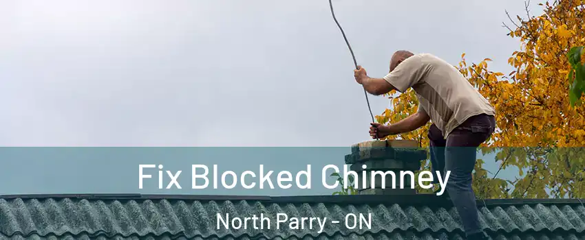  Fix Blocked Chimney North Parry - ON