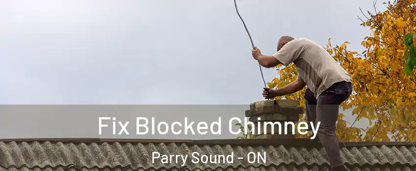  Fix Blocked Chimney Parry Sound - ON