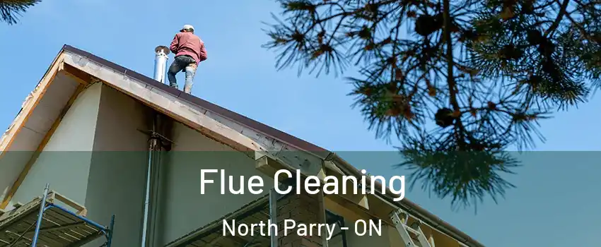  Flue Cleaning North Parry - ON
