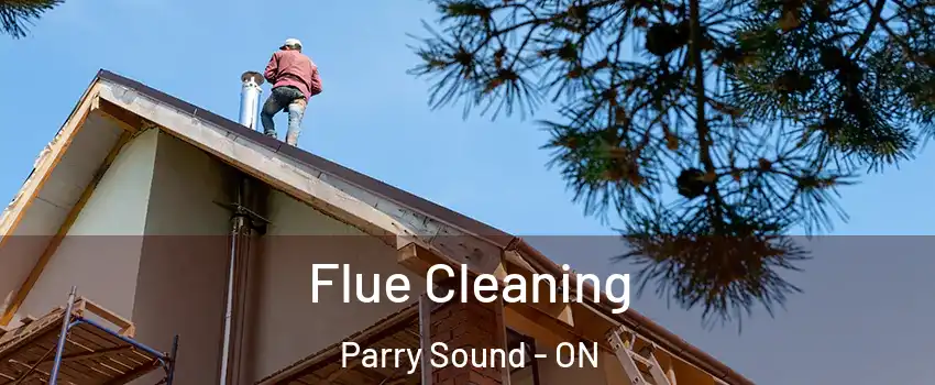  Flue Cleaning Parry Sound - ON