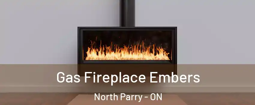 Gas Fireplace Embers North Parry - ON