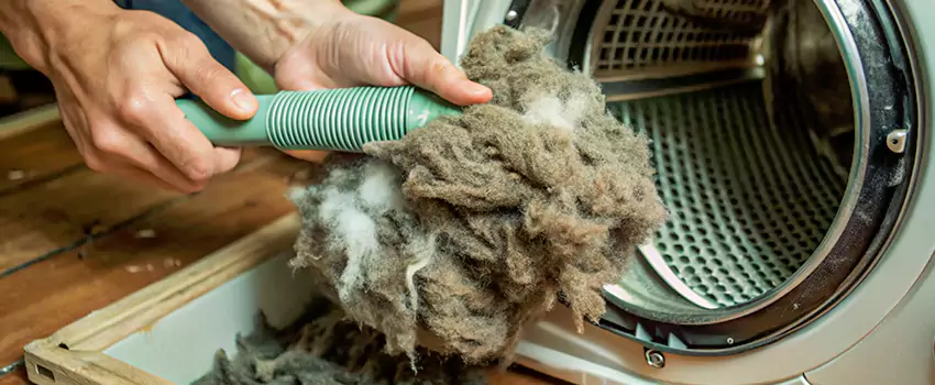 Best Dryer Lint Removal Company in Parry Sound, Ontario