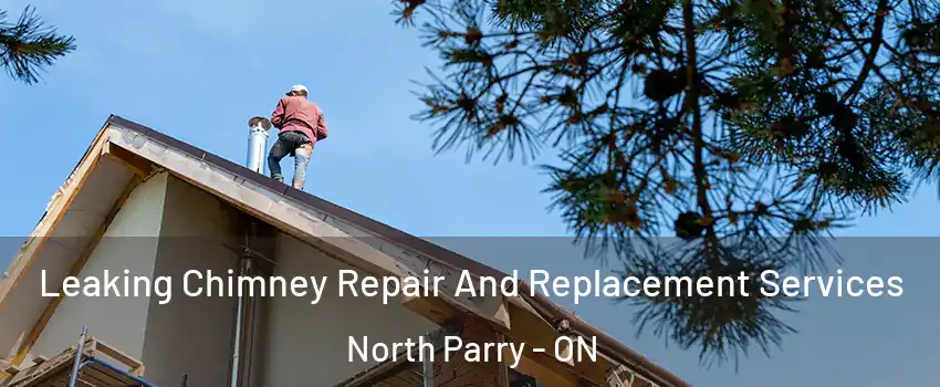 Leaking Chimney Repair And Replacement Services North Parry - ON