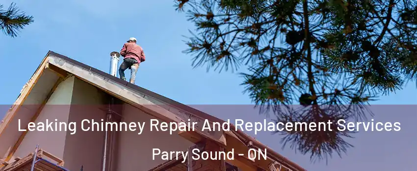 Leaking Chimney Repair And Replacement Services Parry Sound - ON