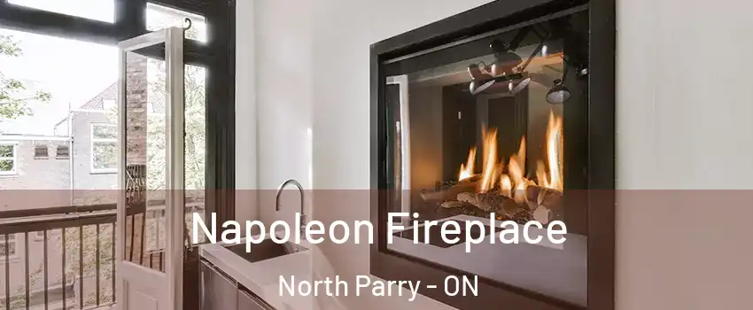 Napoleon Fireplace North Parry - ON