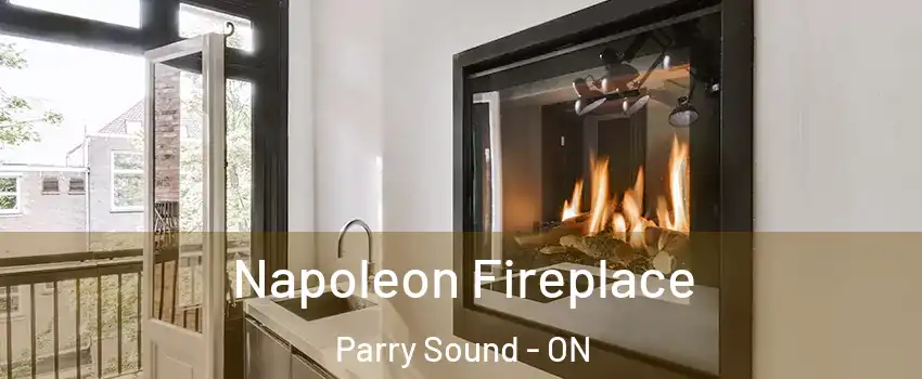  Napoleon Fireplace Parry Sound - ON