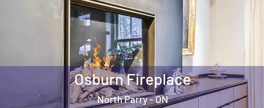 Osburn Fireplace North Parry - ON