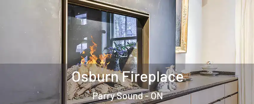  Osburn Fireplace Parry Sound - ON
