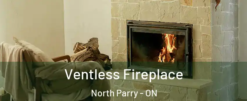  Ventless Fireplace North Parry - ON