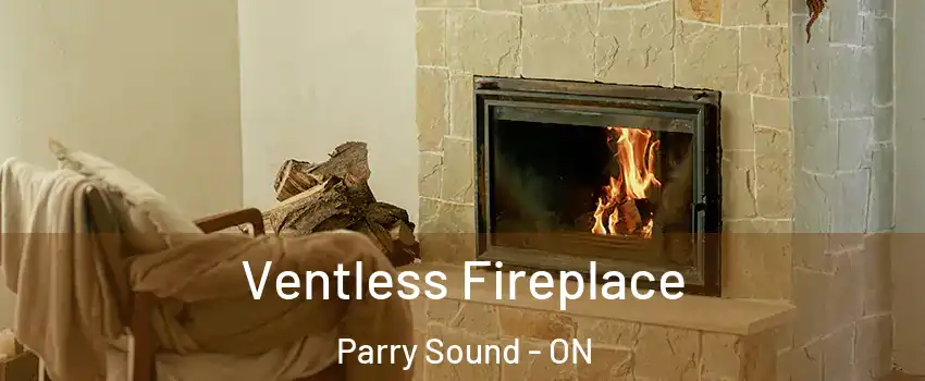  Ventless Fireplace Parry Sound - ON