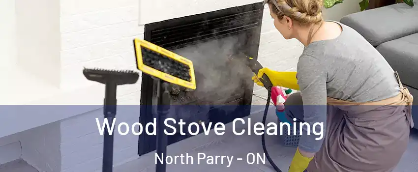Wood Stove Cleaning North Parry - ON